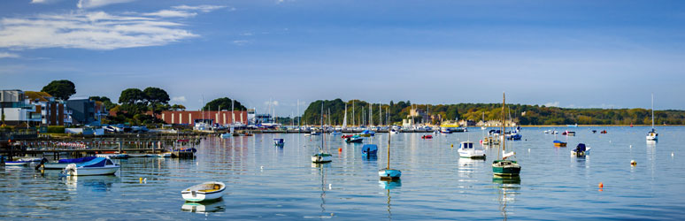 Brownsea Island 