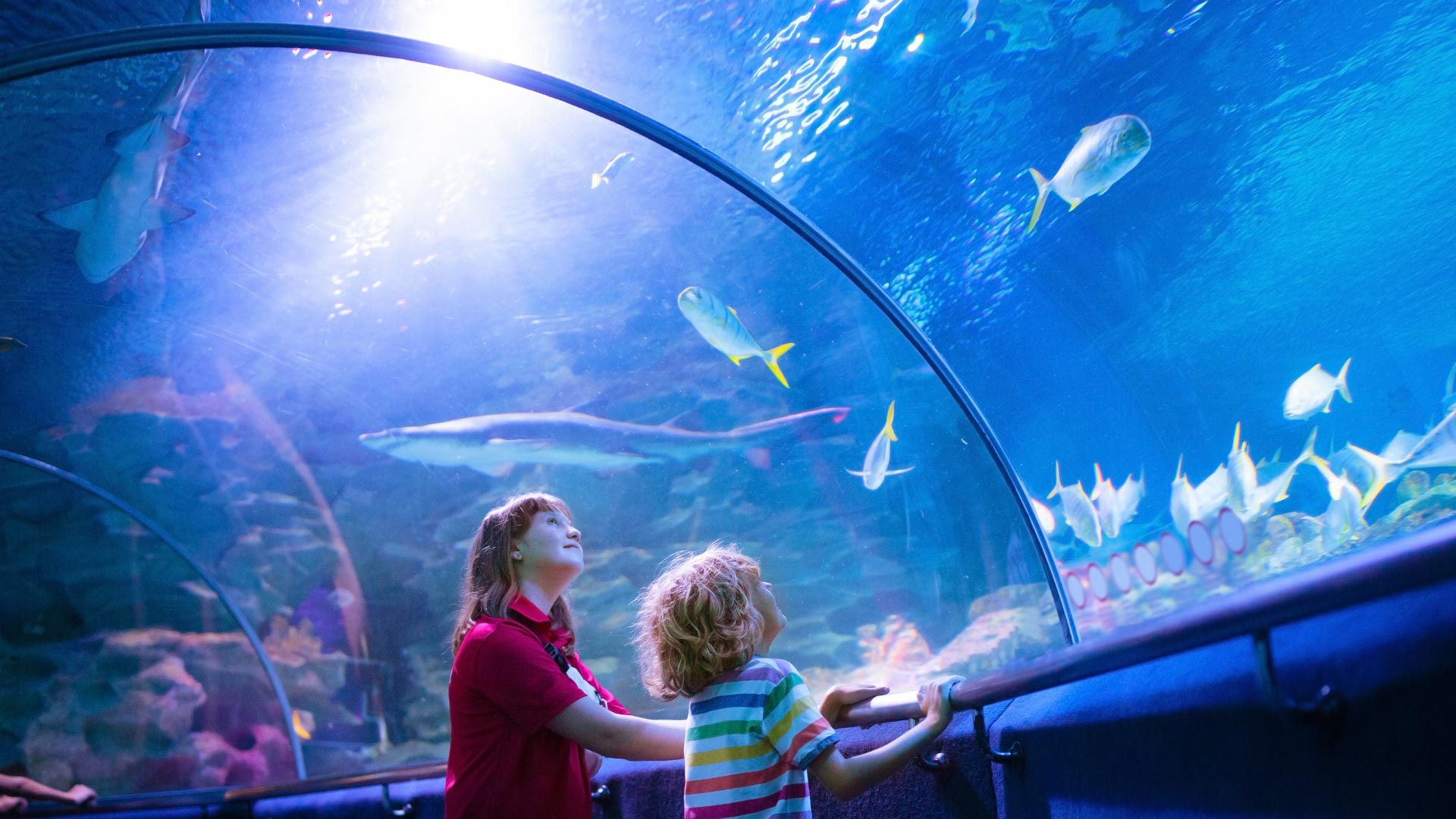 SEA LIFE Aquarium