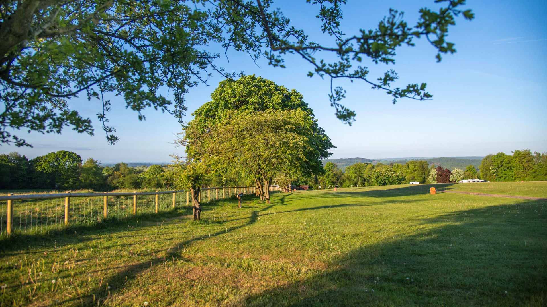 Alton, The Star - Camping and Caravanning Club Site - Main photo