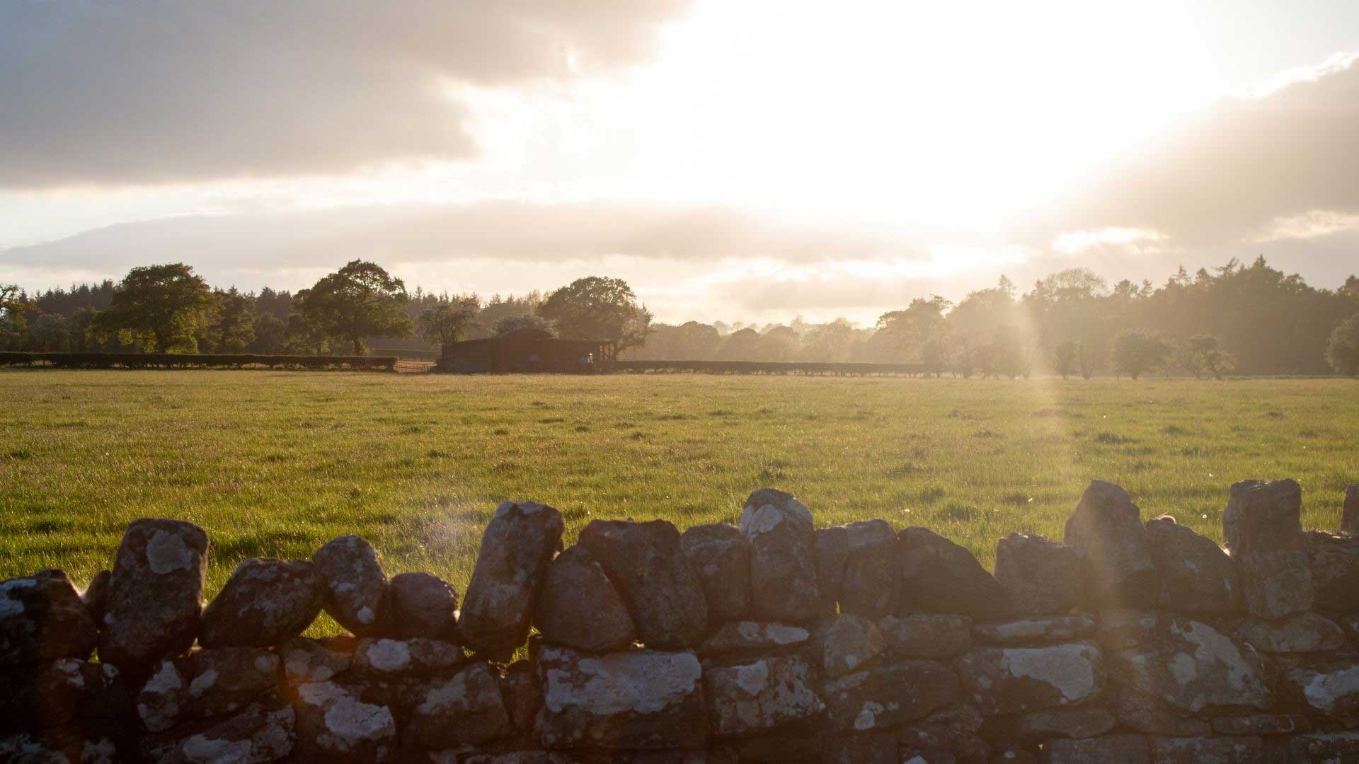 Barnard Castle Camping and Caravanning Club Site — photo 4