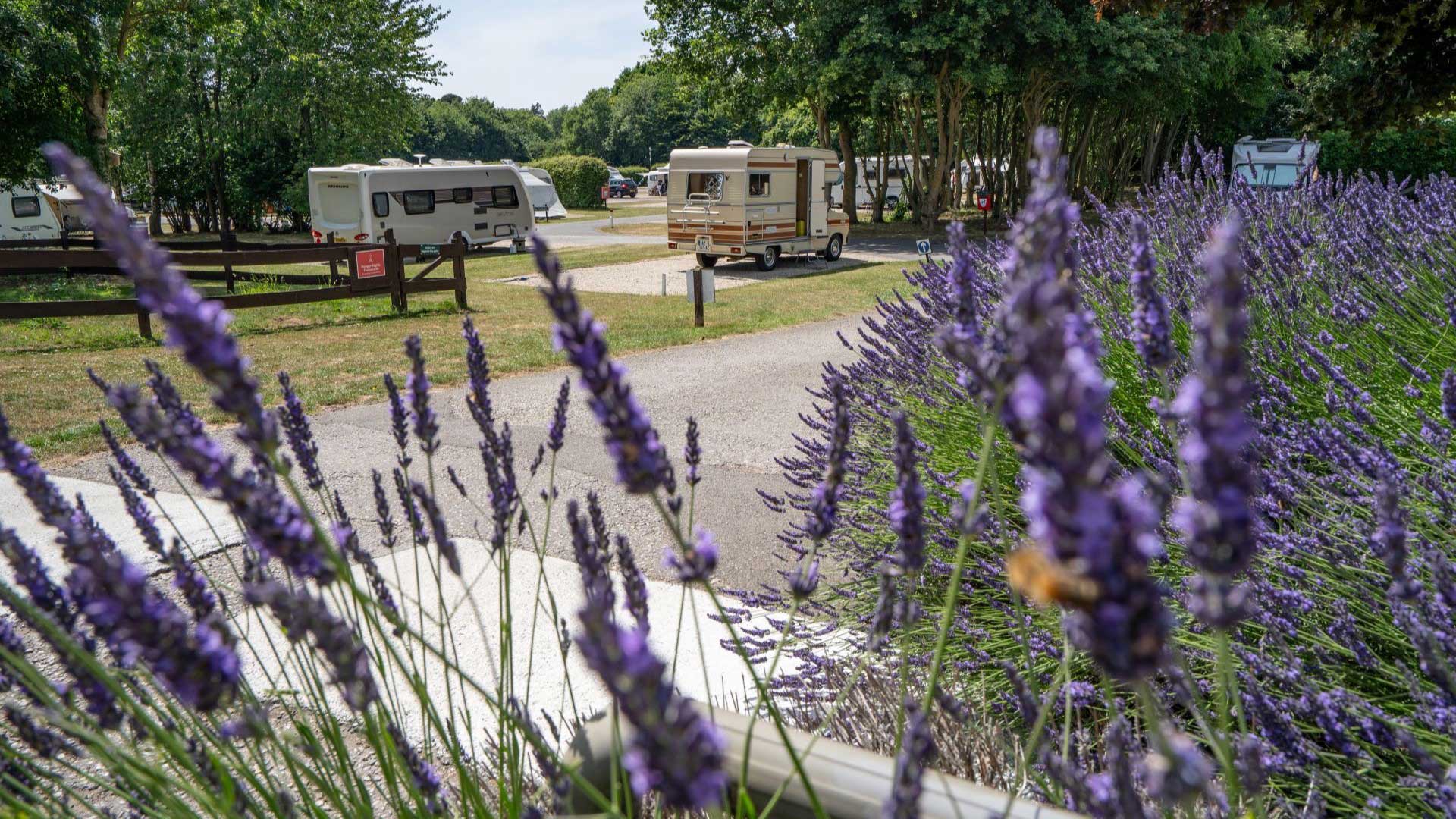 Canterbury Campsite - Camping and Caravanning Club Site