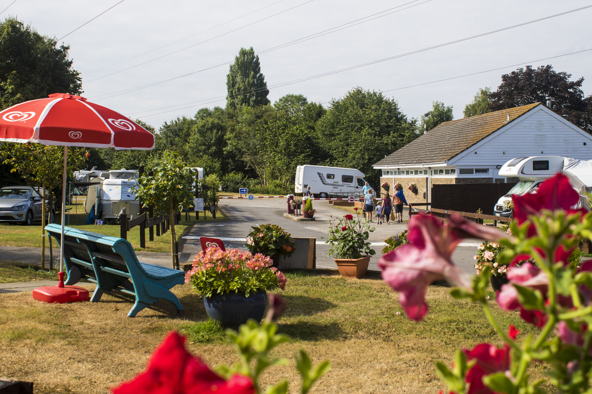 Flowers outside at Canterbury Campsite