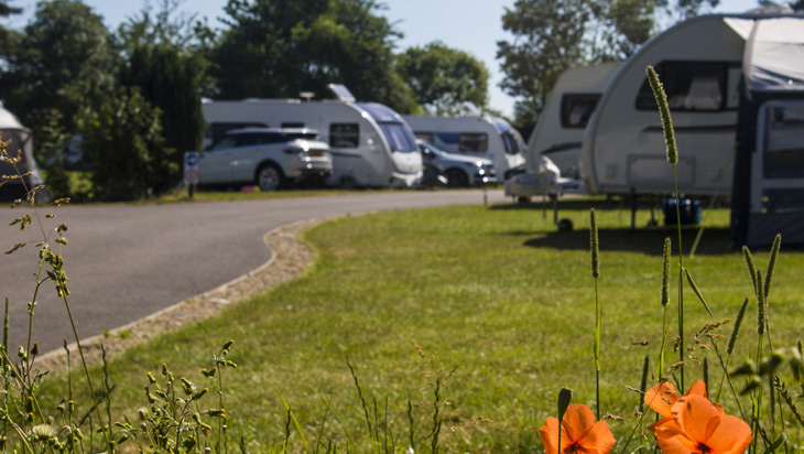 Cotswold Wildlife Park The Camping And Caravanning Club Cotswold Wildlife Park The Camping And Caravanning Club
