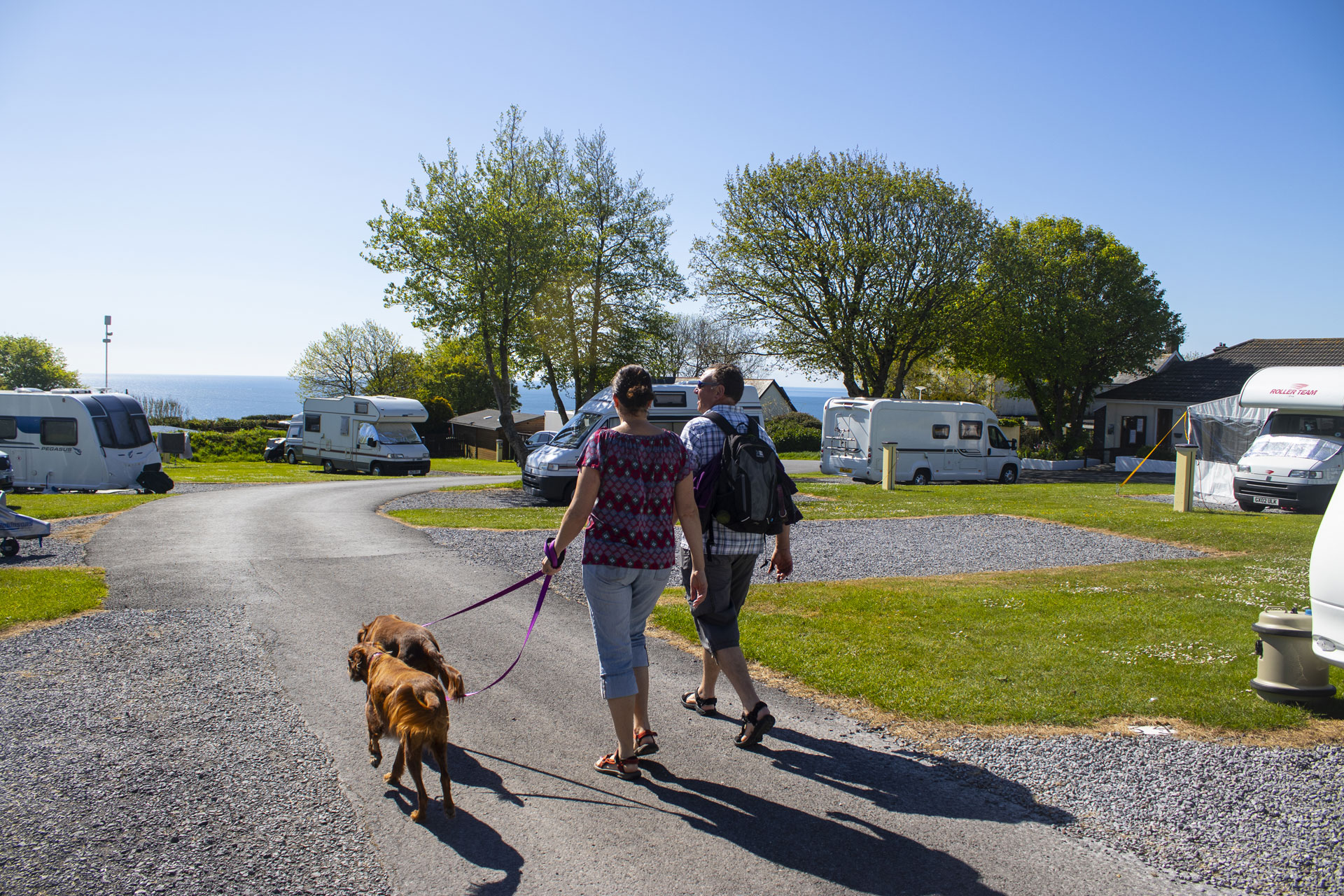 Dartmouth Campsite Camping and Caravanning Club Site