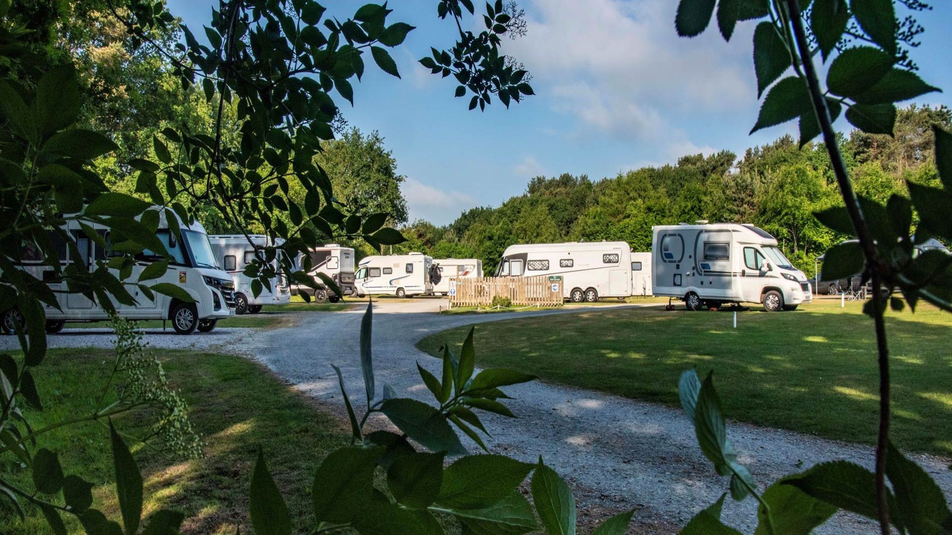 Delamere Forest Camping and Caravanning Club Site — photo 6