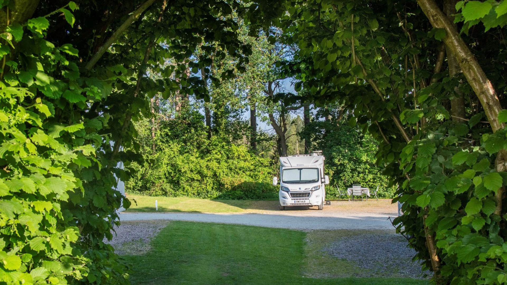 Delamere Forest Camping and Caravanning Club Site — photo 3