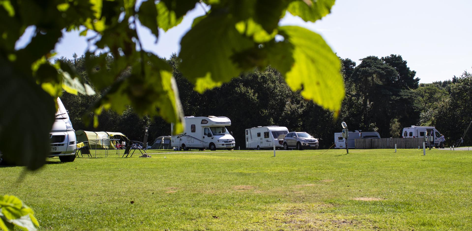 Grass pitches on Delamere Forest Club Site