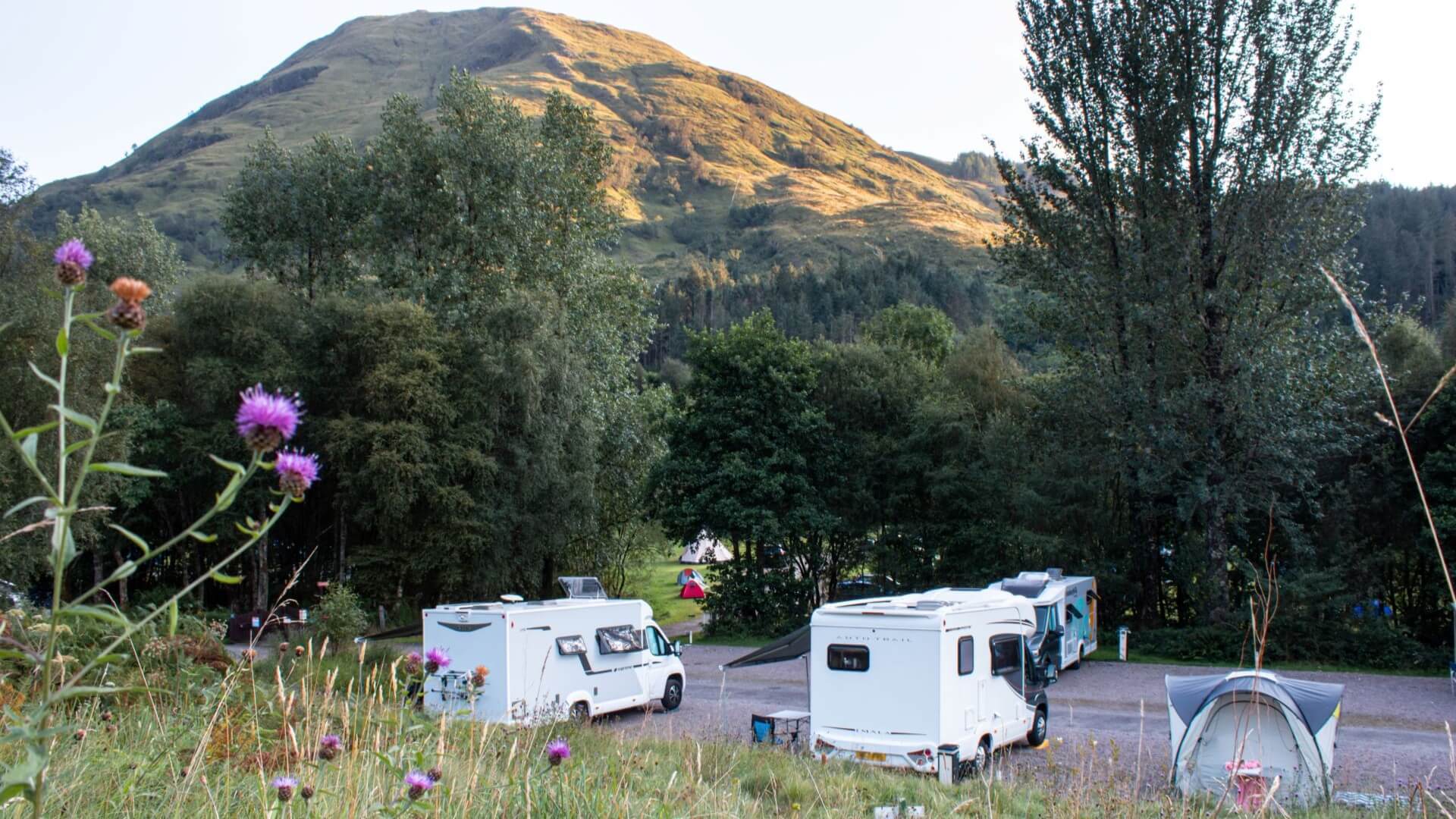 Glencoe Campsite - Camping and Caravanning Club Site