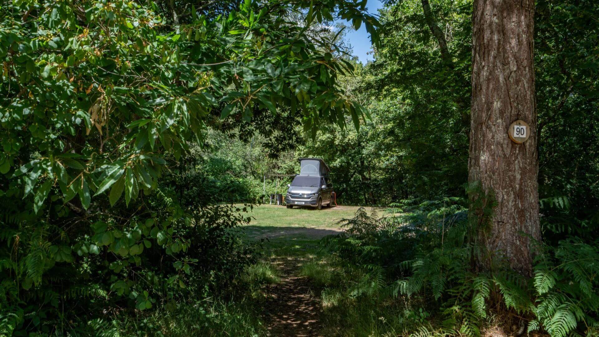 Graffham Camping and Caravanning Club Site — photo 2