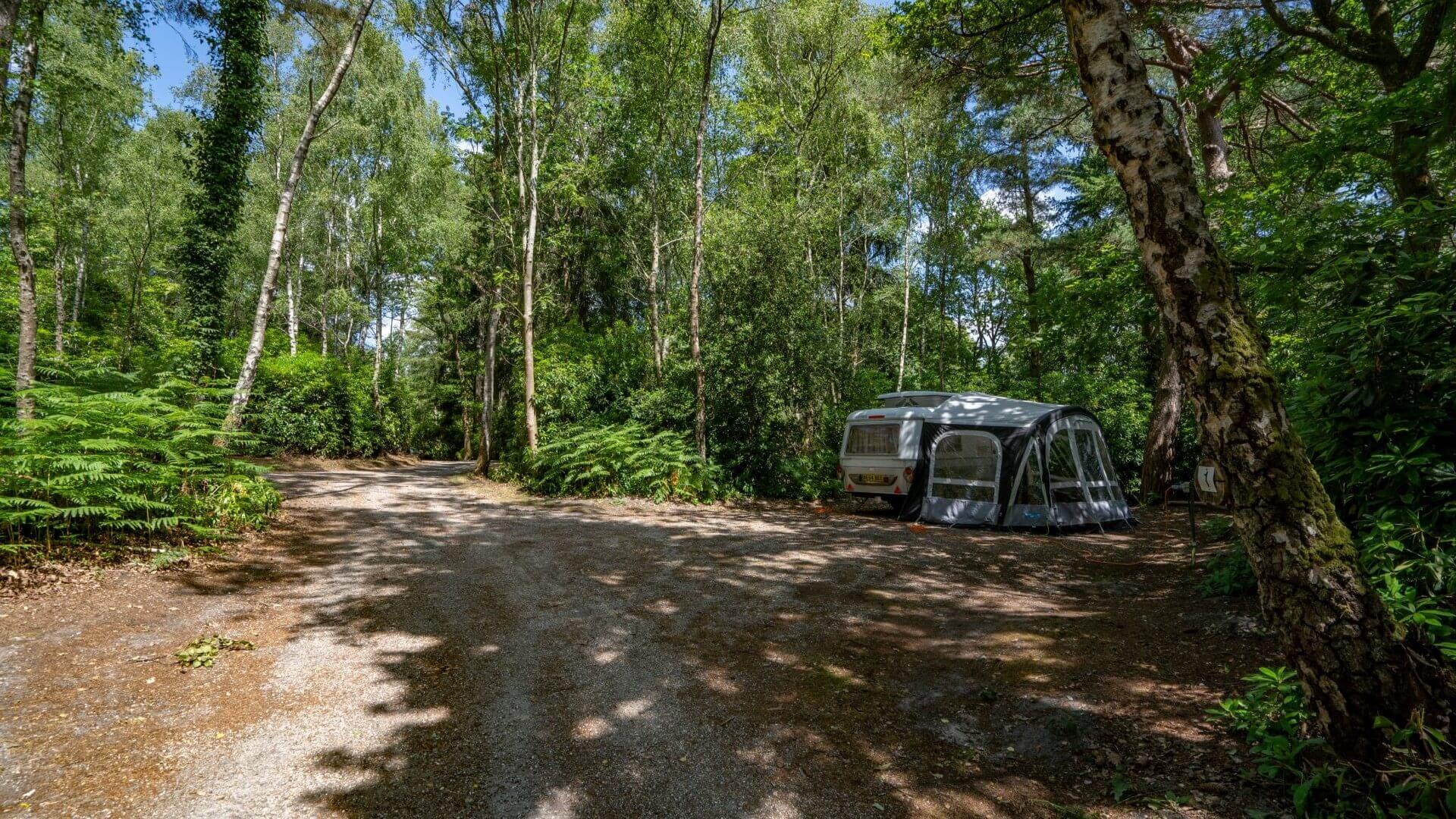 Graffham Camping and Caravanning Club Site — photo 3