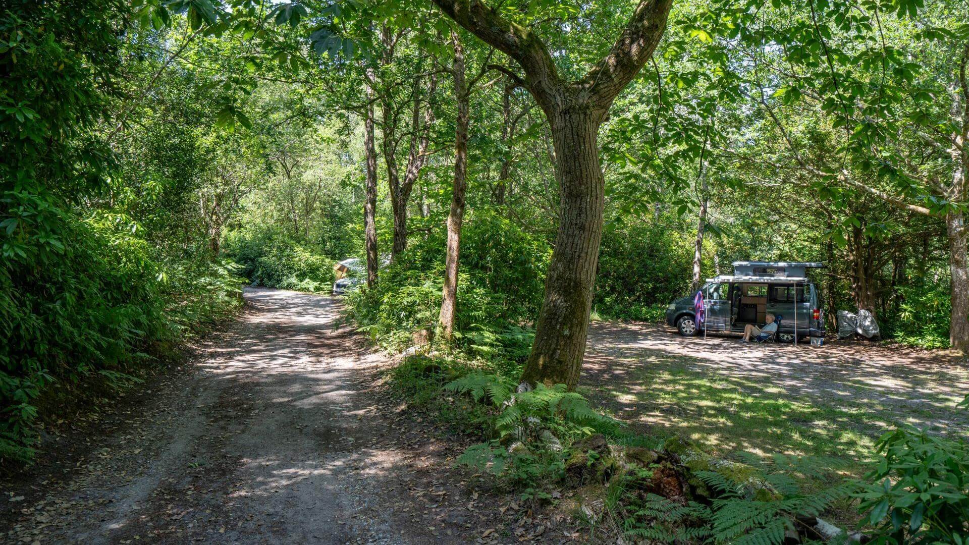 Graffham Camping and Caravanning Club Site — photo 5