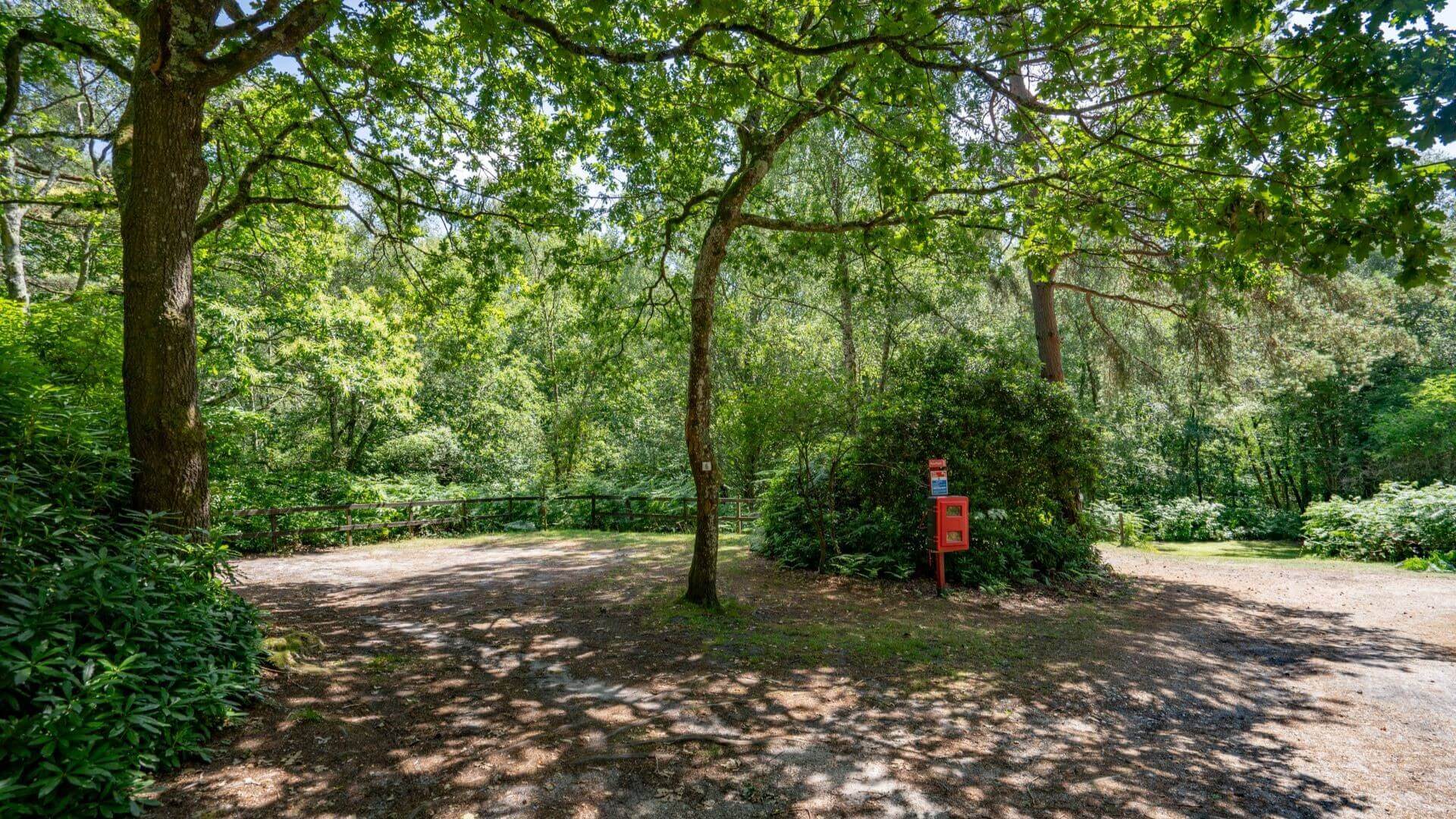 Woodland Electric Pitch
