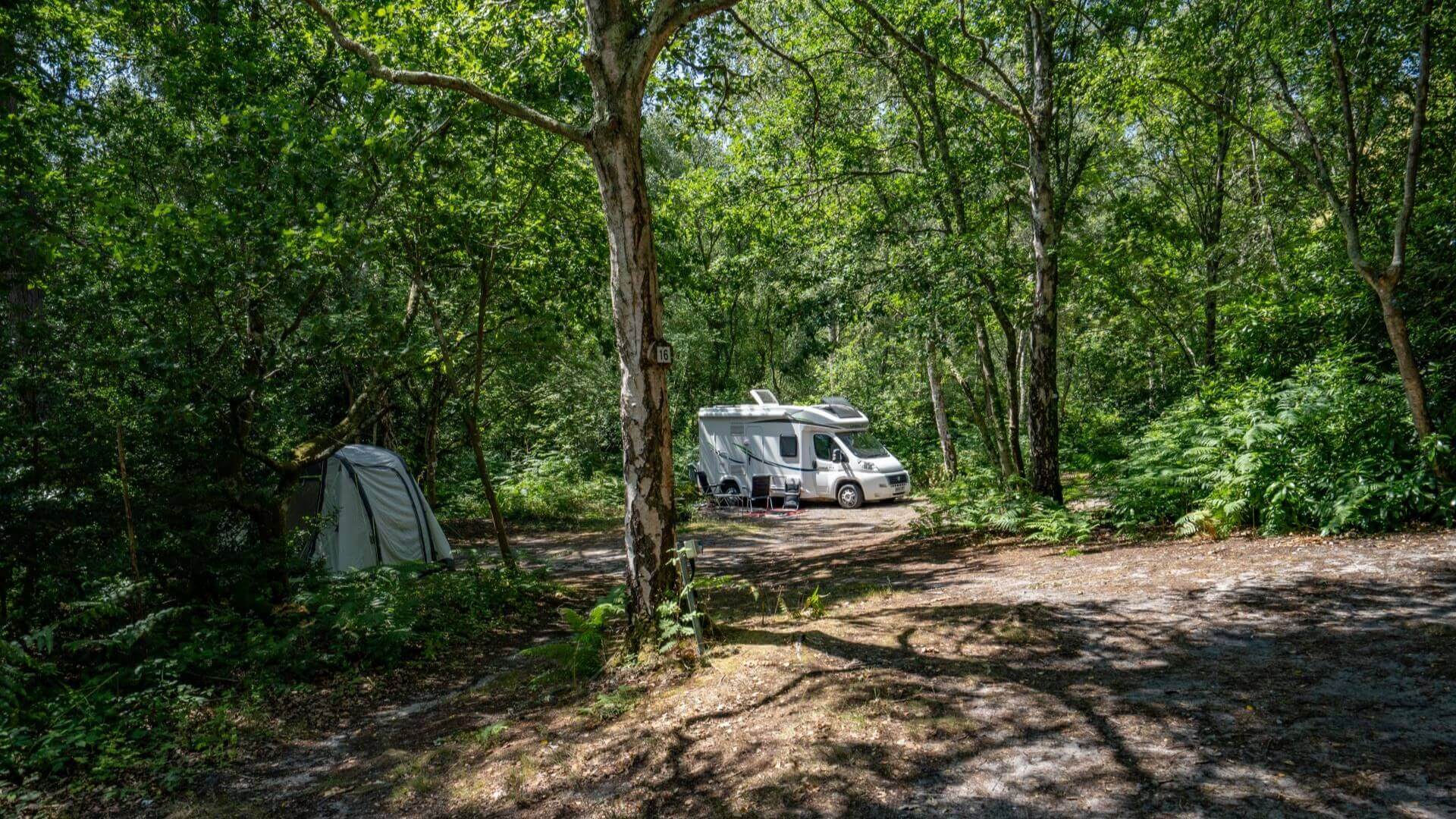 Graffham Camping and Caravanning Club Site — photo 8