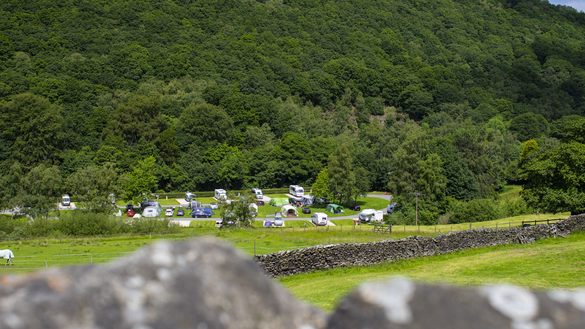 Long-distance shot of Hayfield Club Site