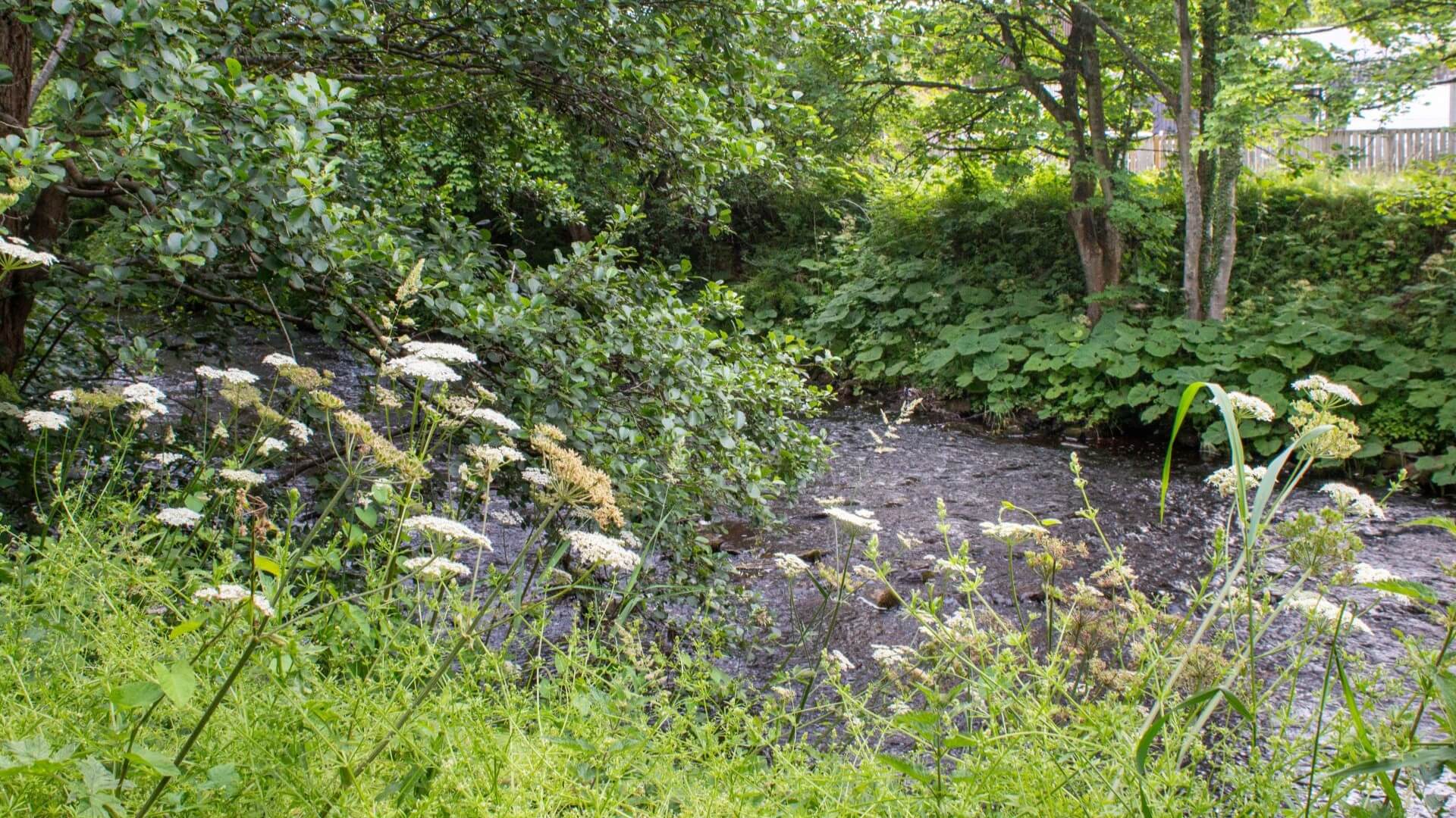 Jedburgh Camping & Caravan Club site — photo 5