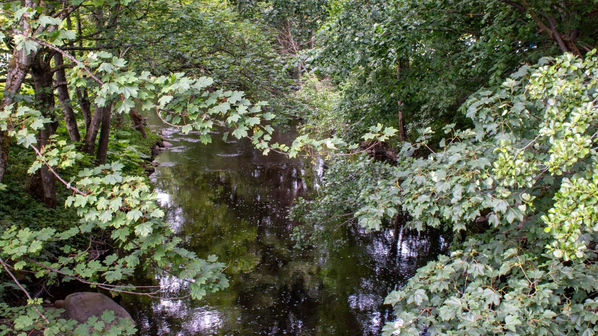 Jedburgh Camping & Caravan Club site — photo 7