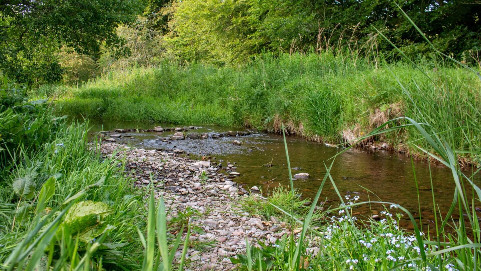 Lauder - Camping and Caravanning Club Site — photo 4