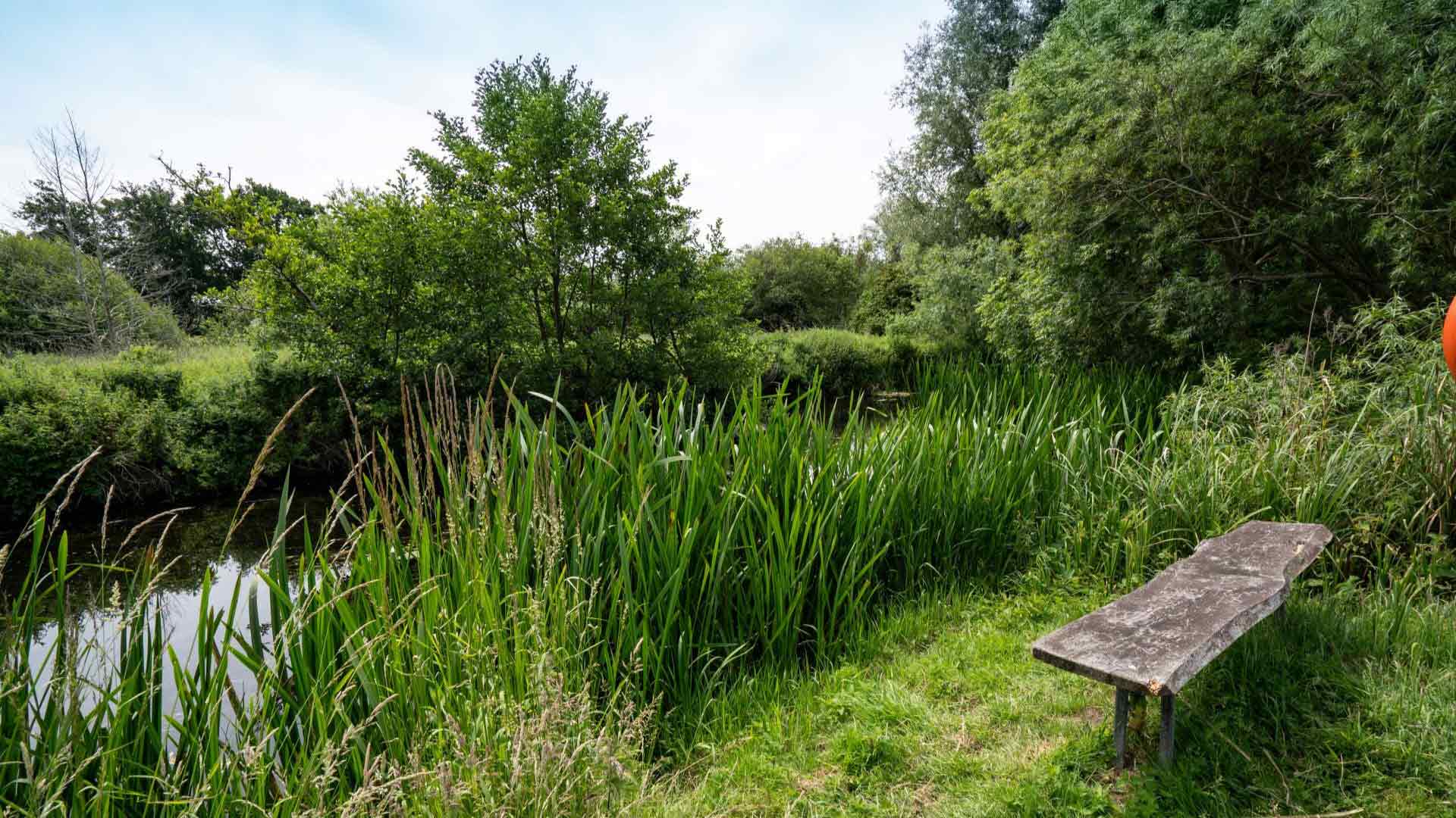 Norwich Camping And Caravanning Club — photo 8