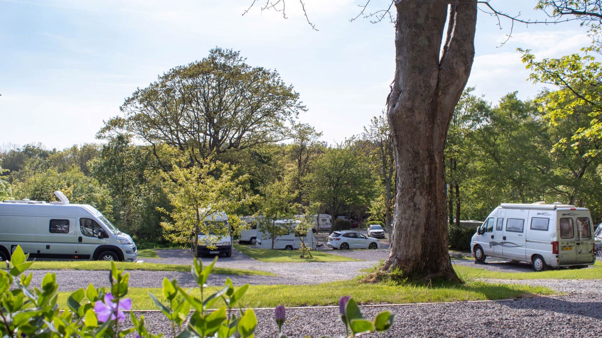 Ravenglass Camping & Caravanning — photo 2
