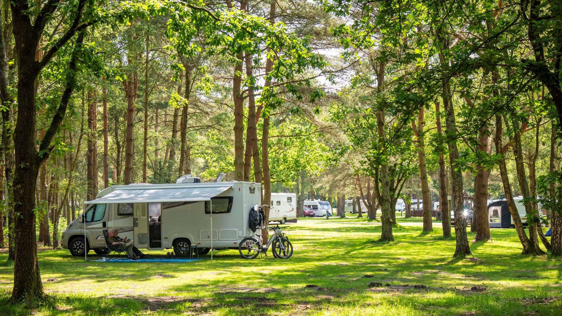 Sandringham - Camping and Caravanning Club Site