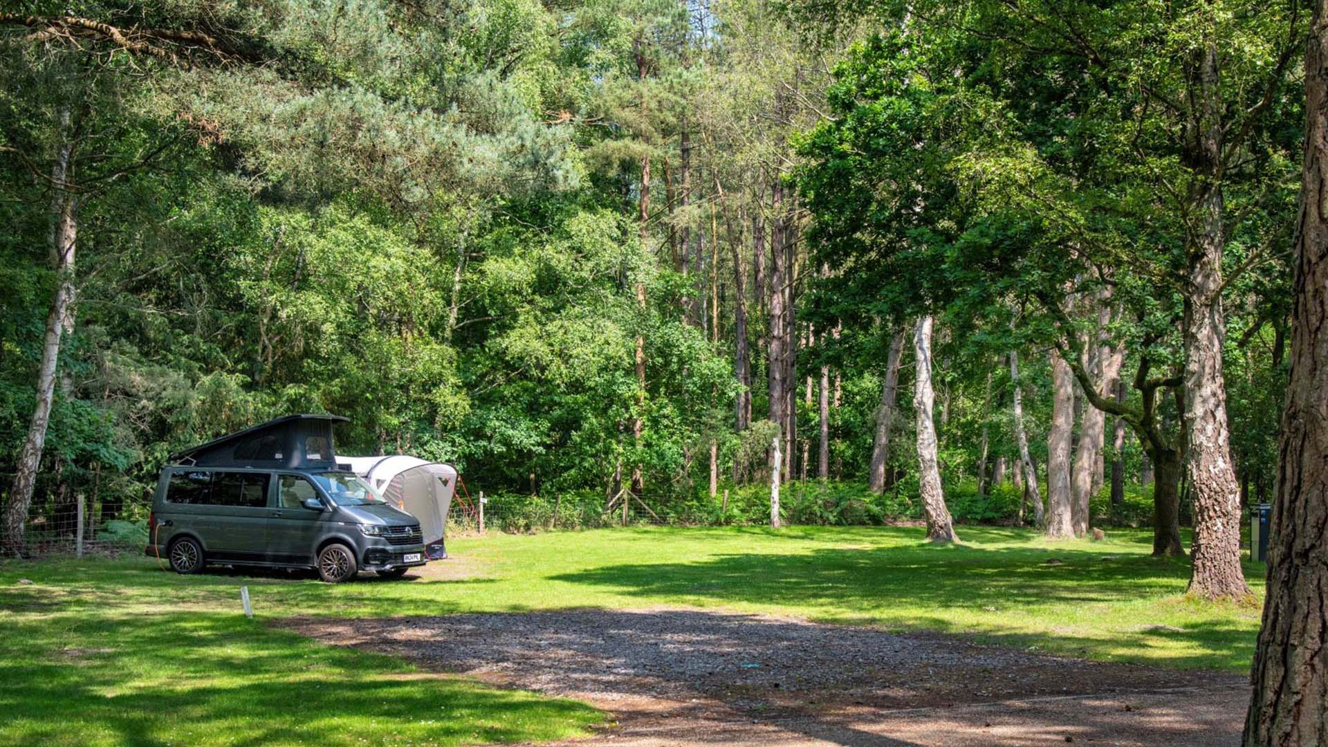 Sandringham Camping and Caravanning Club Site — photo 4
