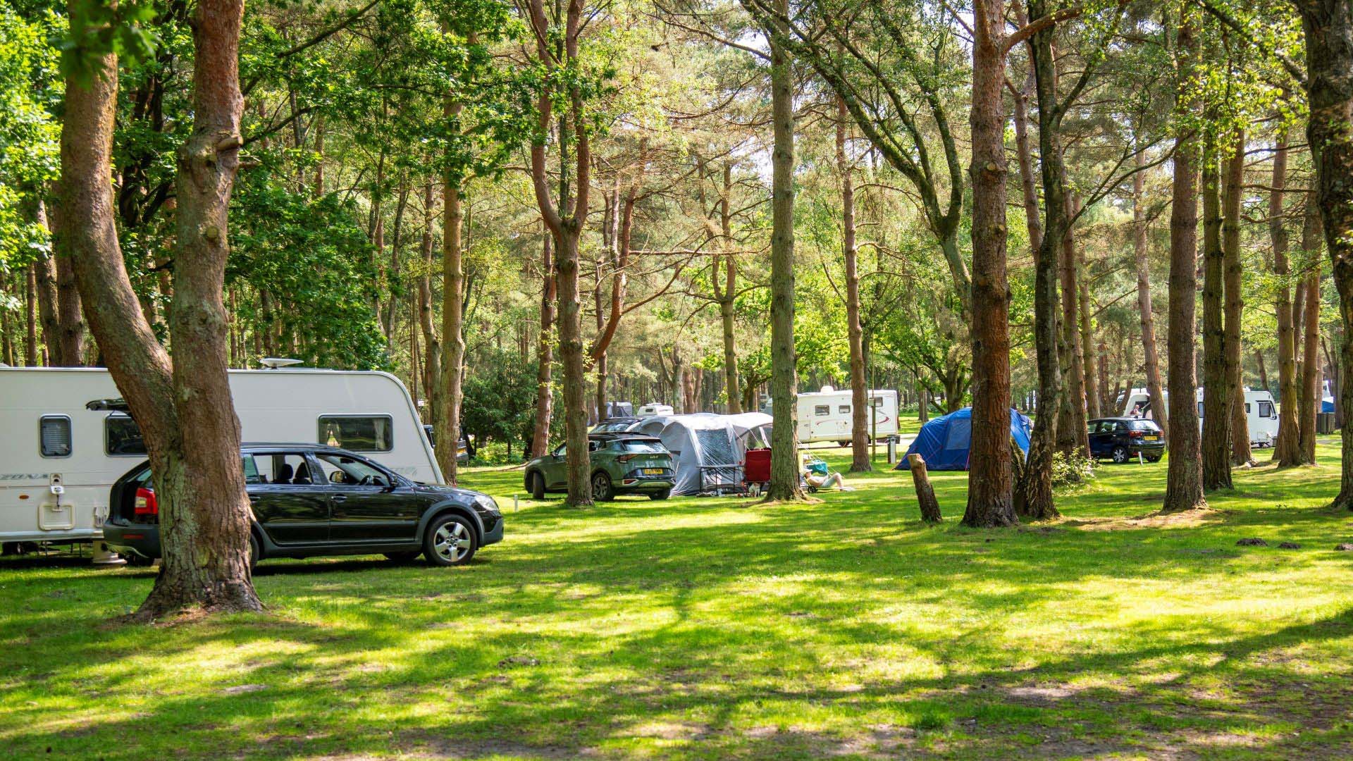 Sandringham Camping and Caravanning Club Site — photo 6