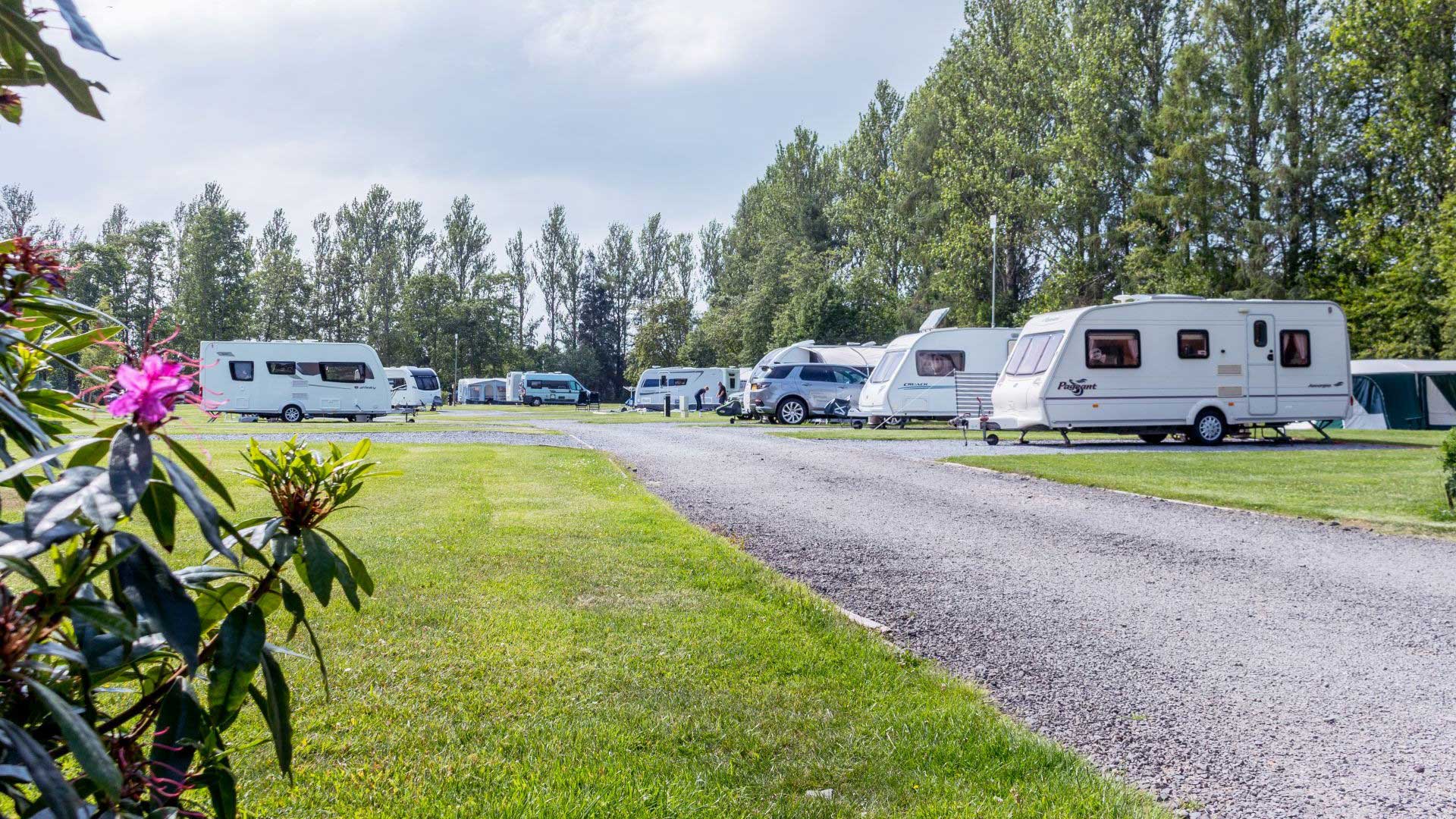 Scone Camping and Caravanning Club Site — photo 6