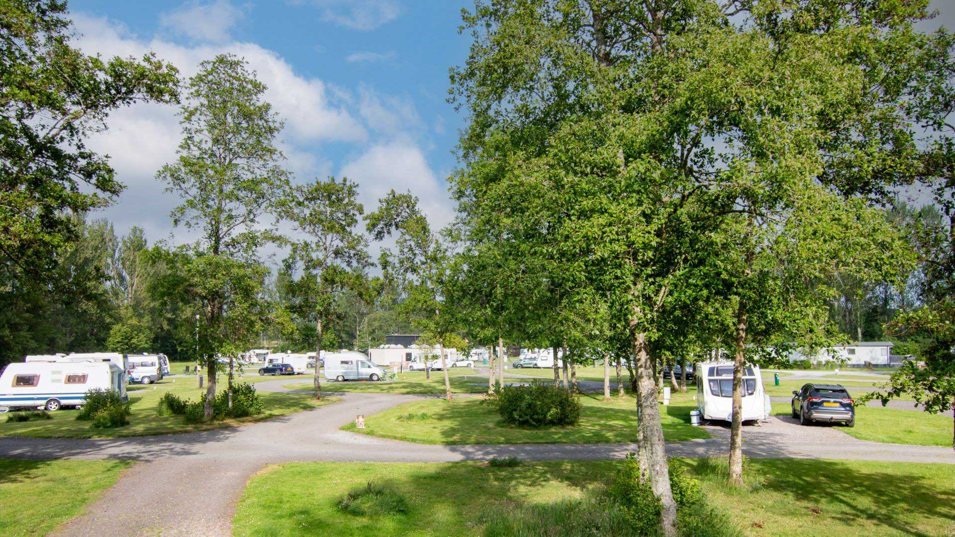 Scone Camping and Caravanning Club Site — photo 5