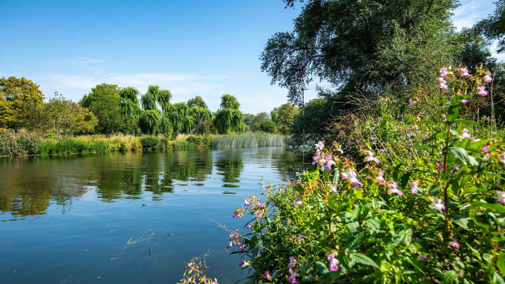 St Neots Camping and Caravanning Club — photo 4