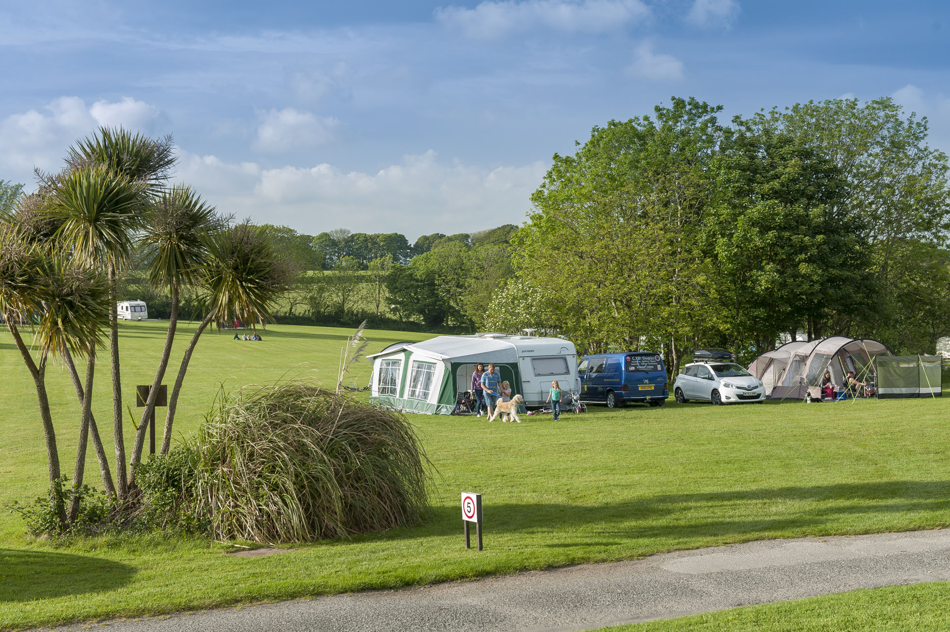 Grass pitches at Veryan Campsite