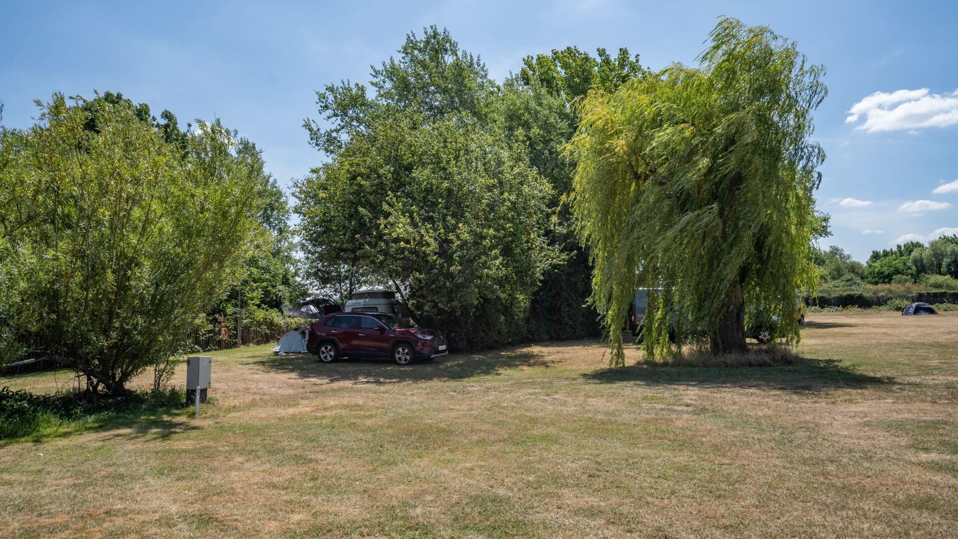 Walton-on-Thames Camping and Caravanning Club Site — photo 3