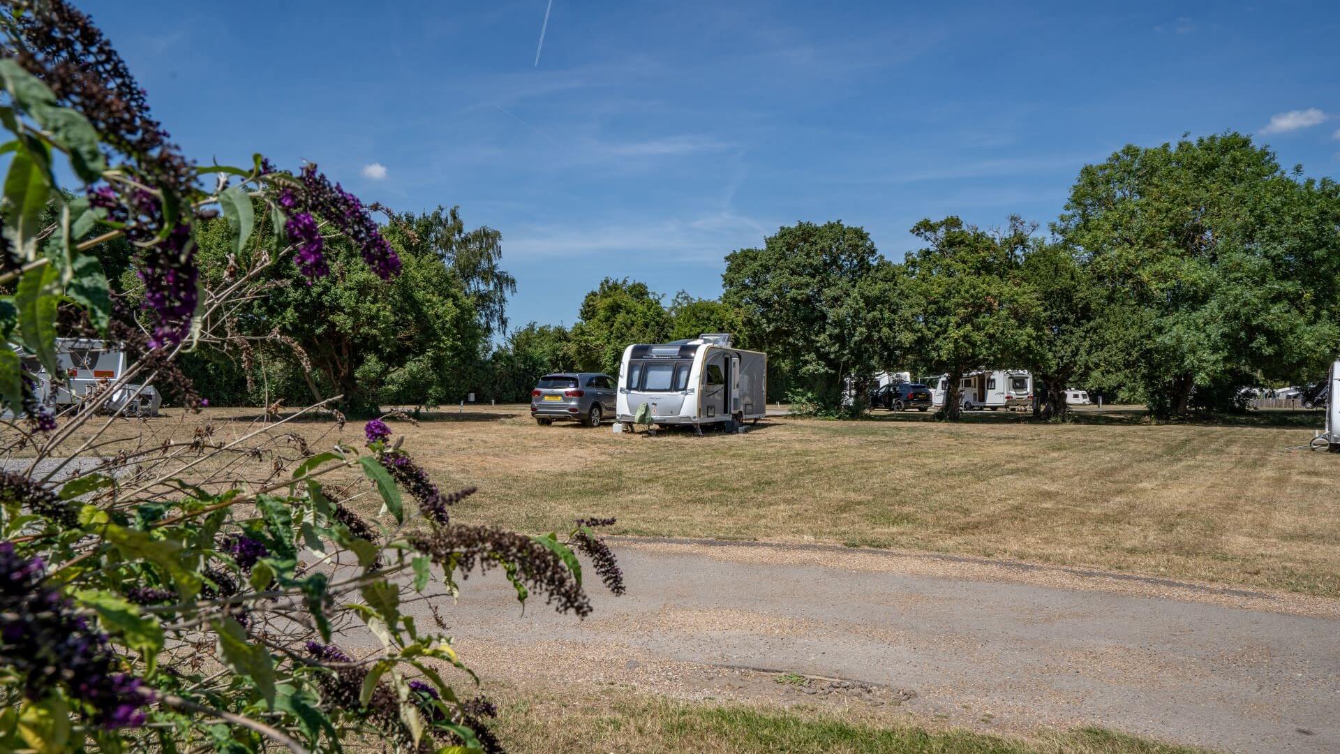 Walton-on-Thames Camping and Caravanning Club Site — photo 8