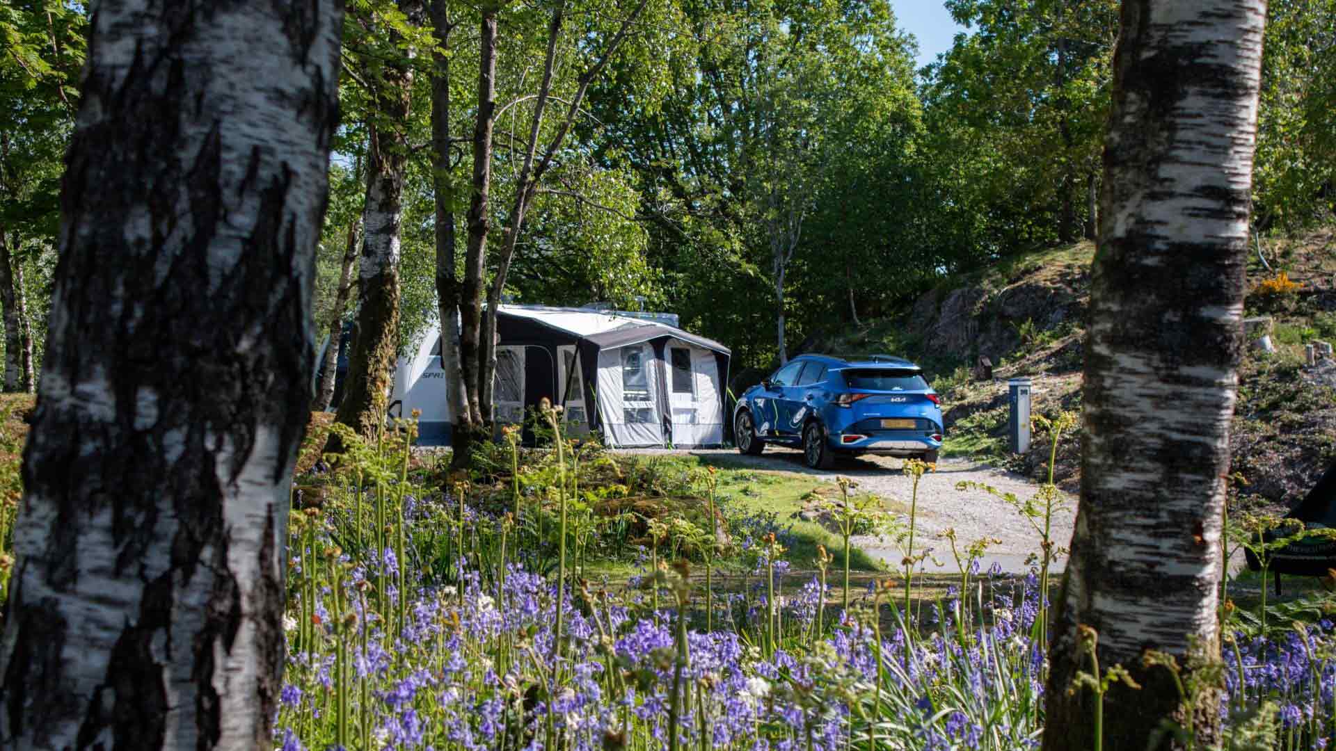 Windermere Camping and Caravanning Club — photo 5