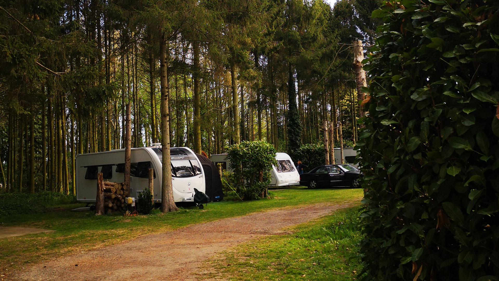 Alford (Lincs) Galley Hill Farm The Camping and Caravanning Club