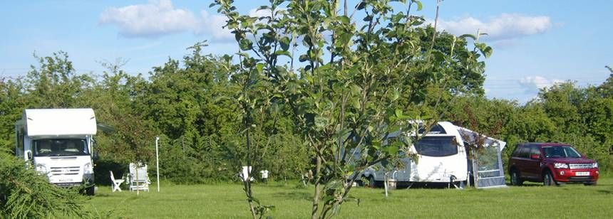 Downham Market - Lodge Farm Meadow
