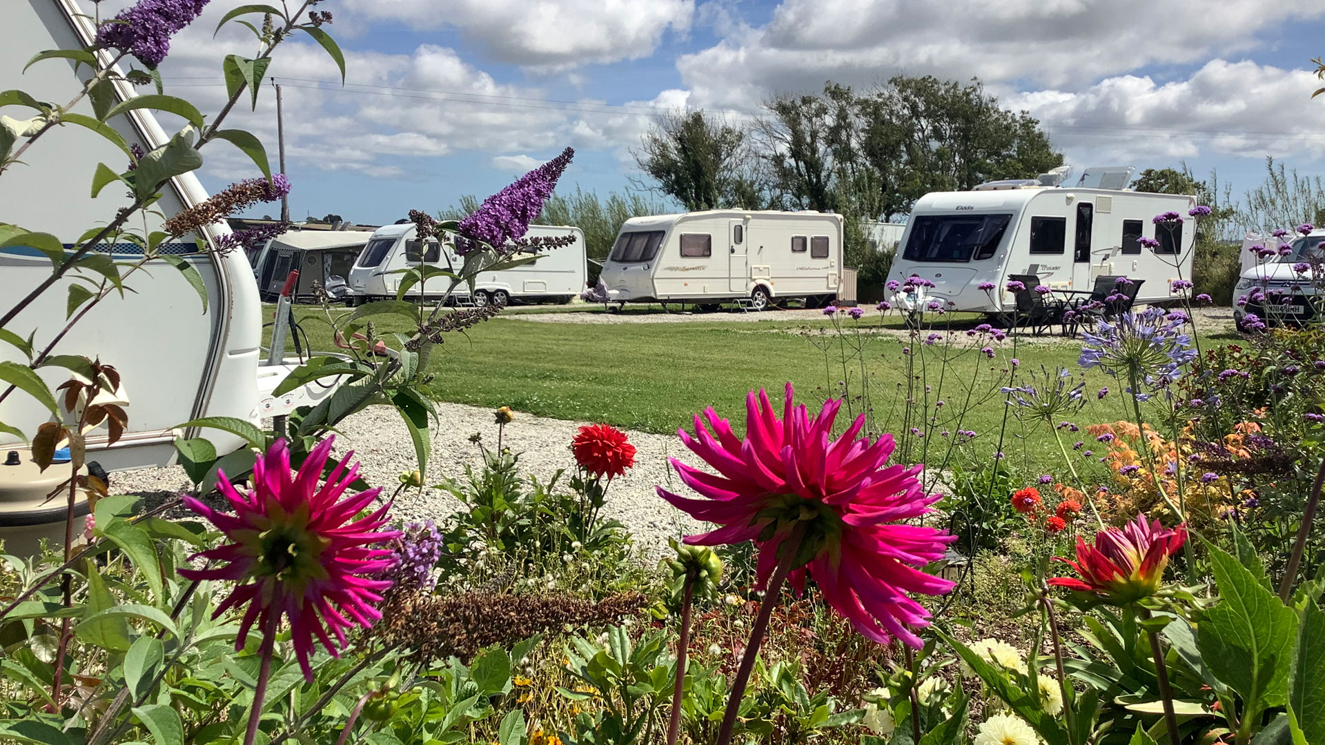 Kingsbridge Parkland Caravan & Camping Site The Camping and