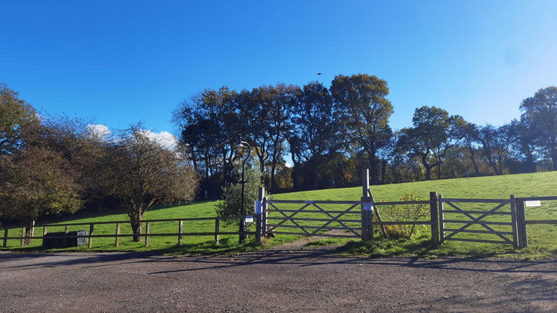 Maidstone Hillside Campsite The Camping and Caravanning Club