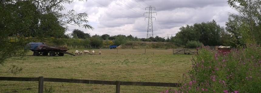 Market Harborough - Ash Tree Farm - The Camping and Caravanning Club