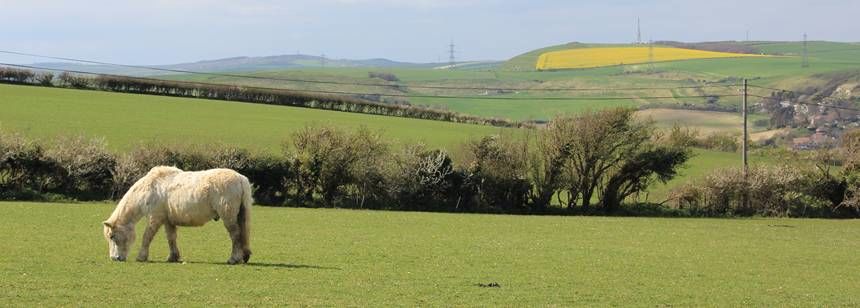 Weymouth - Osmington Hill Farm - The Camping and Caravanning Club