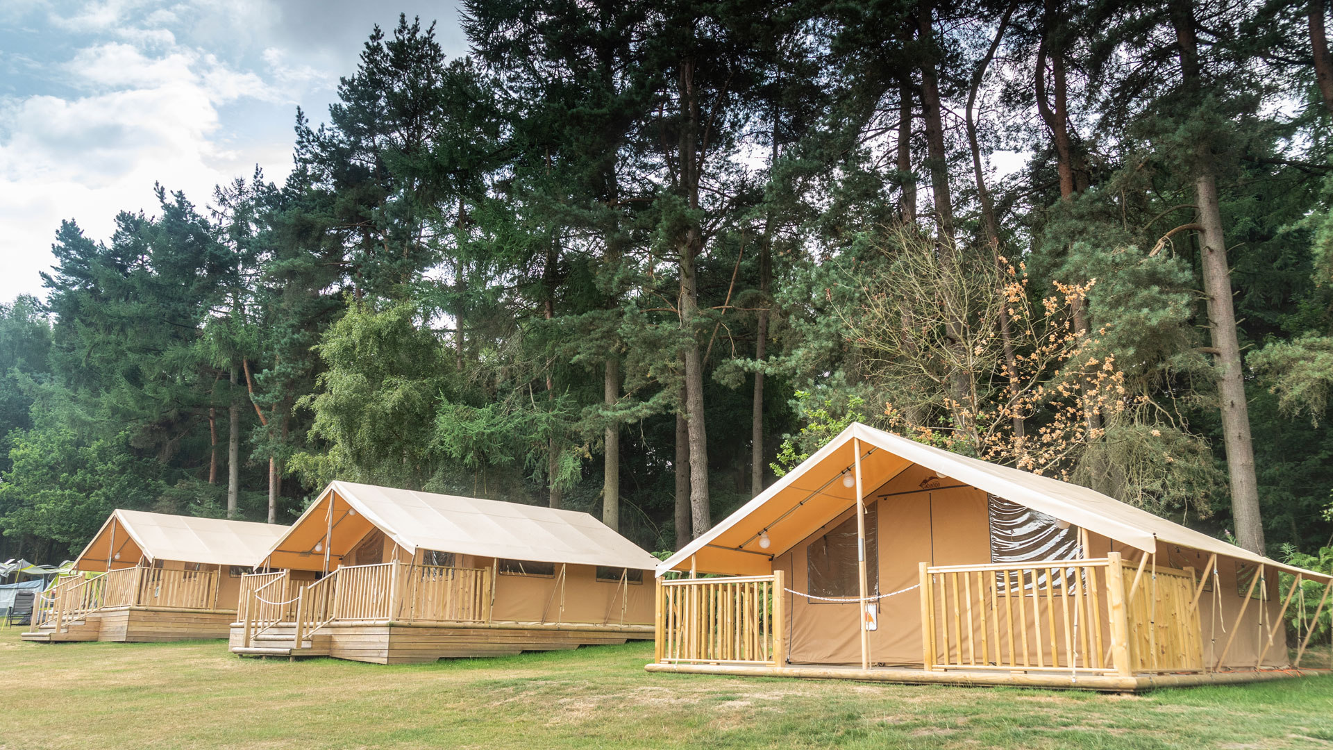 Cannock Chase Ready Camp The Camping and Caravanning Club