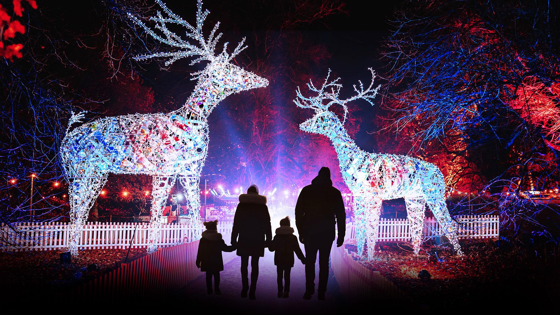 Silhouette of a family looking at two large illuminated reindeer in woodland.