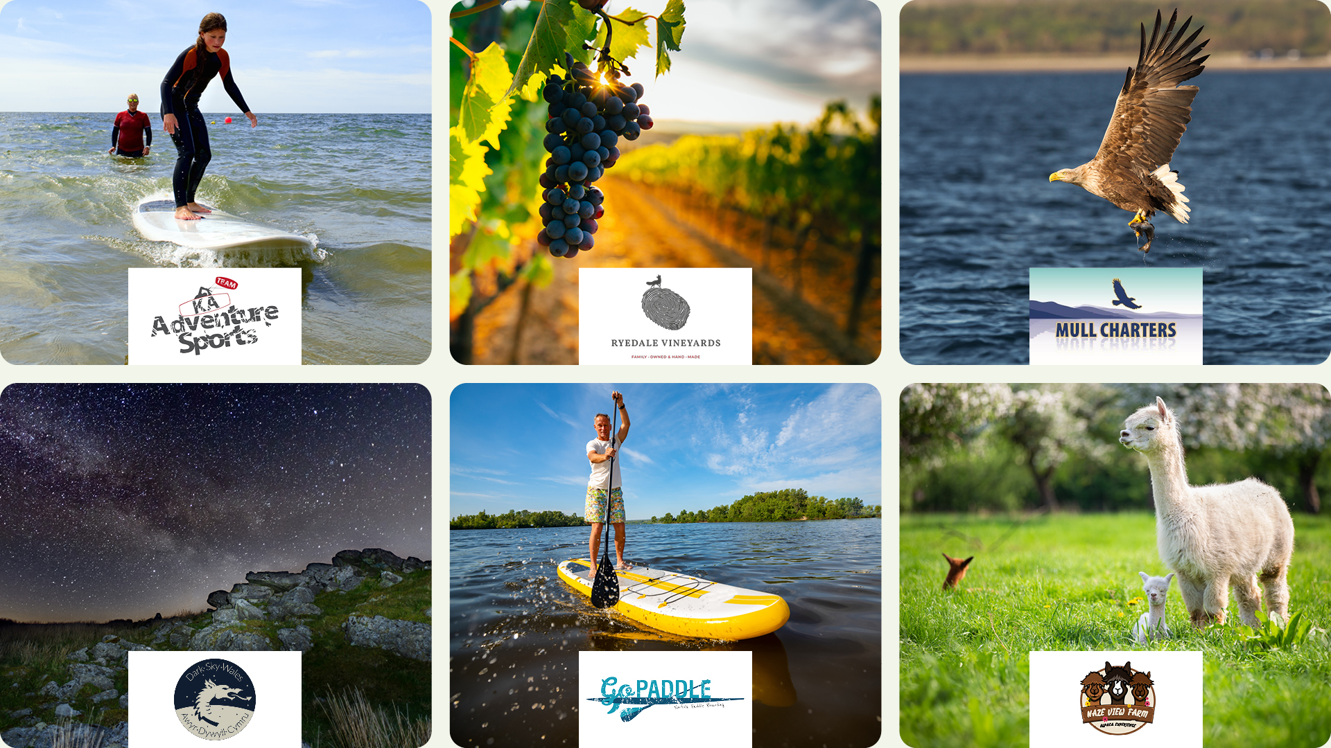 Montage of outdoor activities