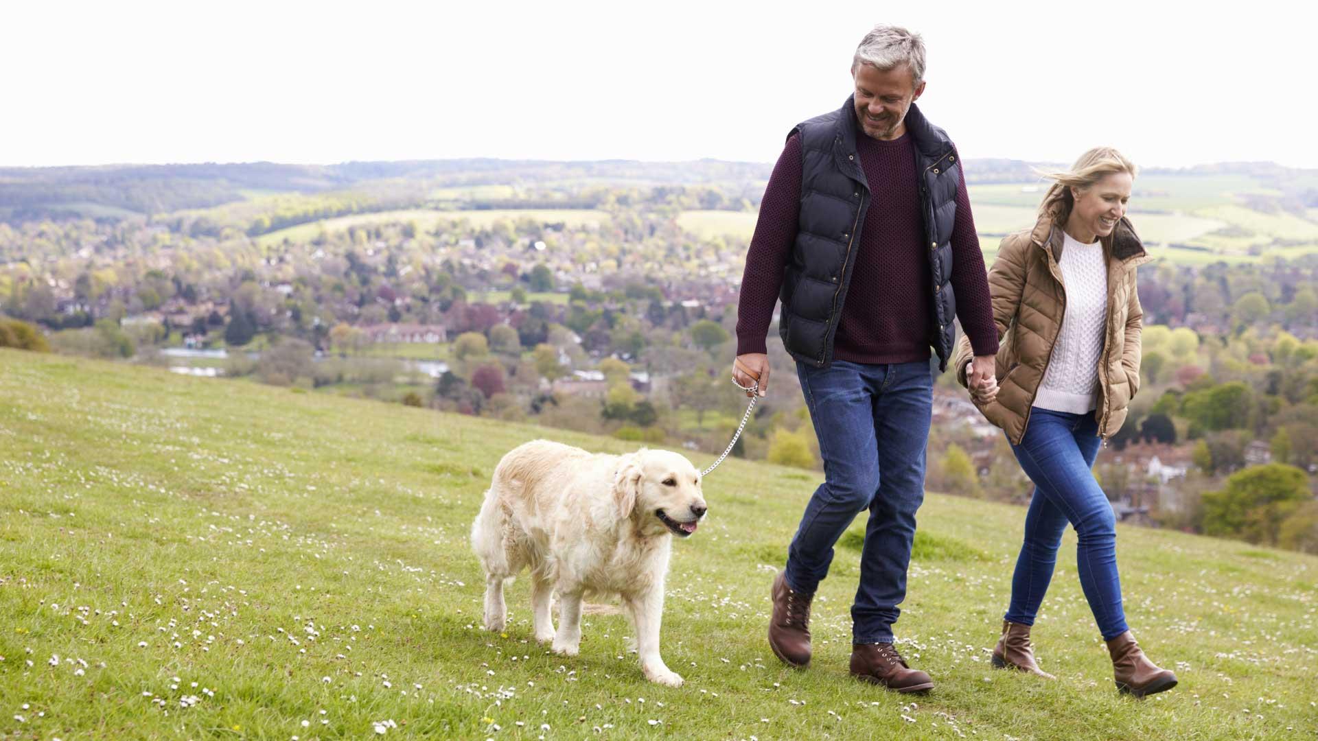 Happy couple walking their golden retriever dog on a scenic countryside hillside.