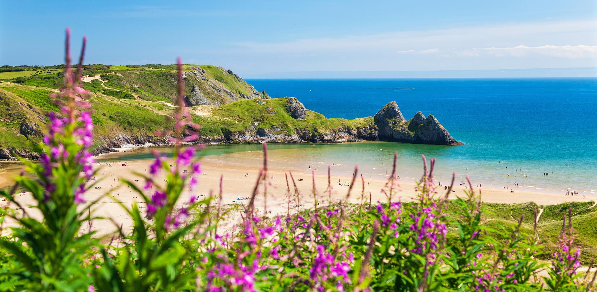 beach and greenery 