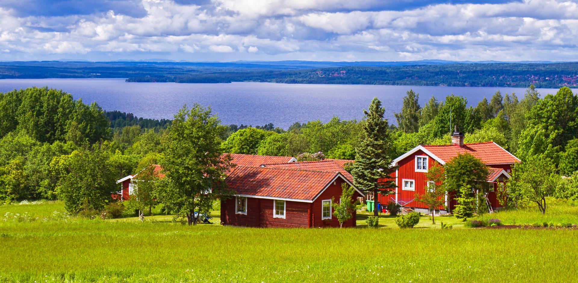 green landscape