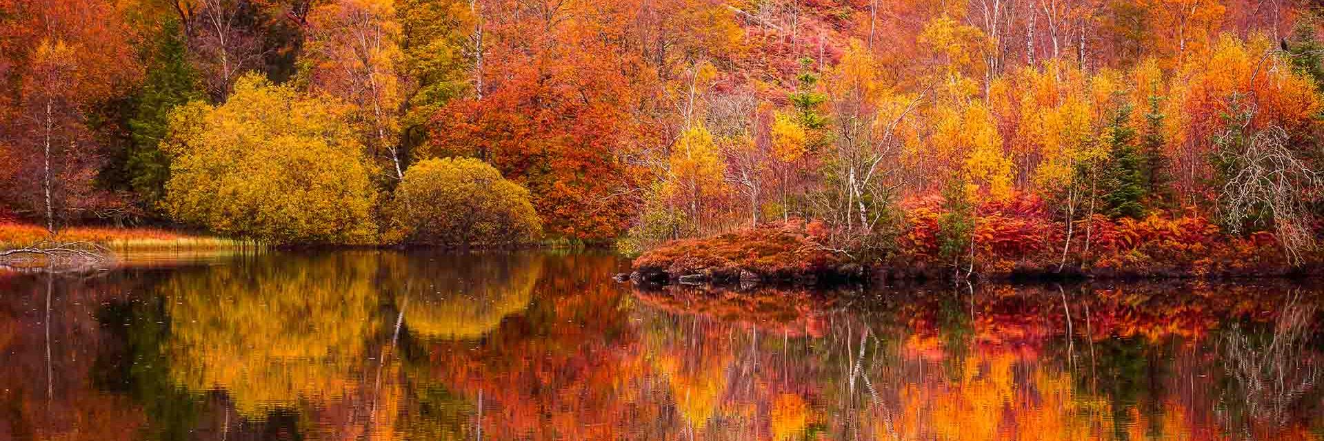 Autumn