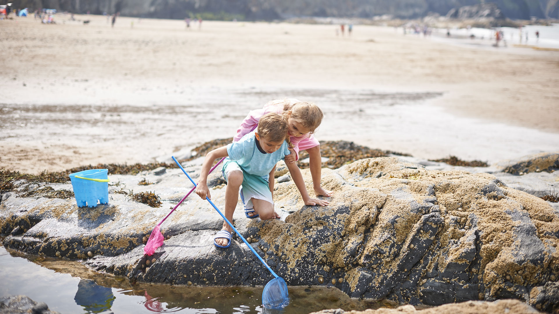 Two kids rockpooling on a beach
