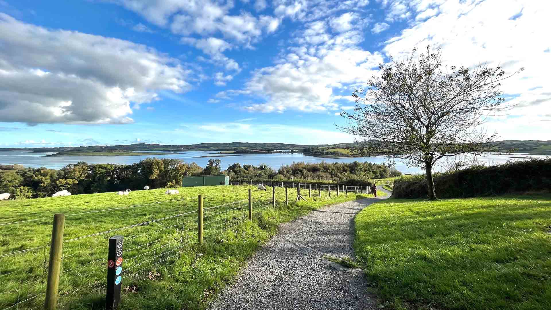 Delamont Country Park