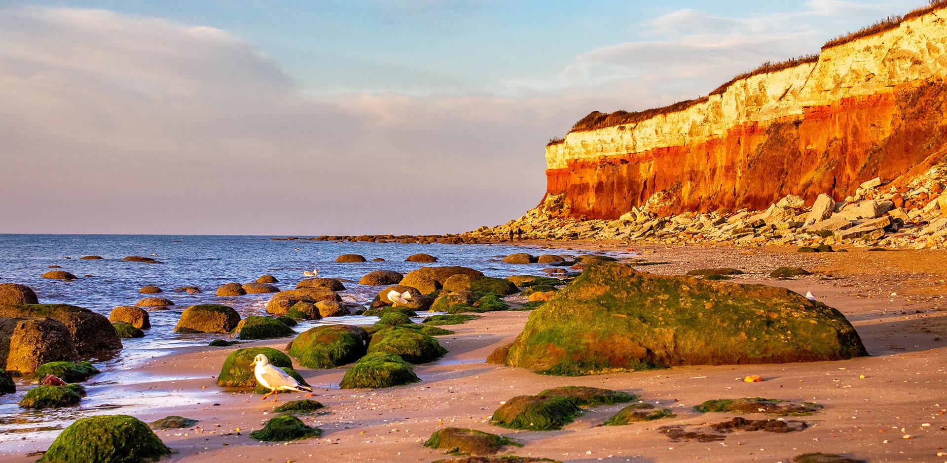 Cliffs