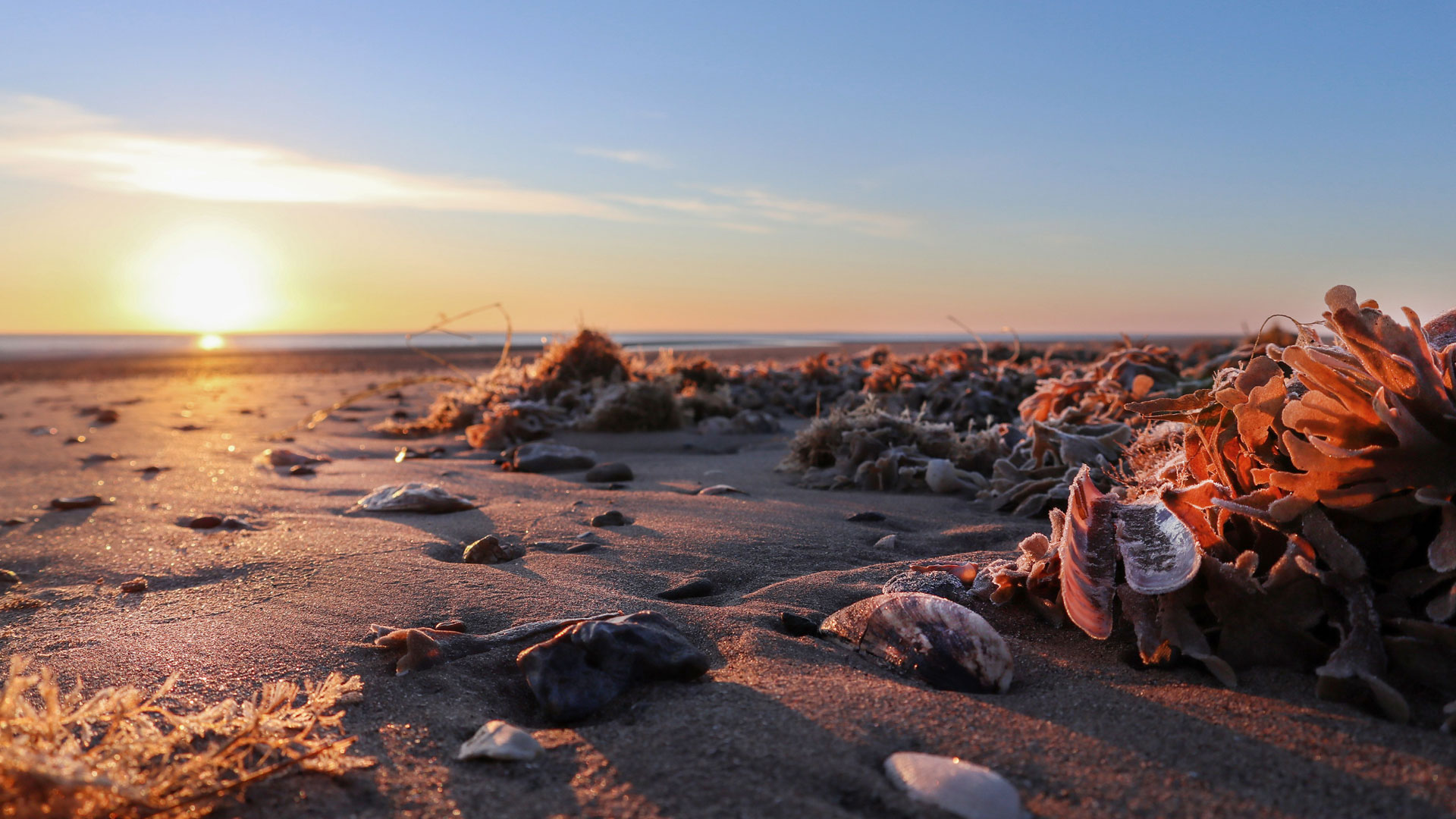 Gibraltar Point